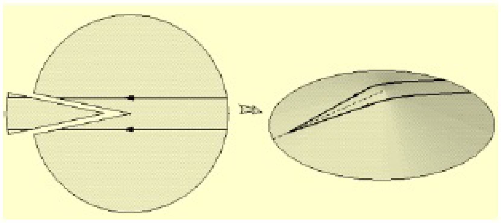 Universe 09 00031 g002