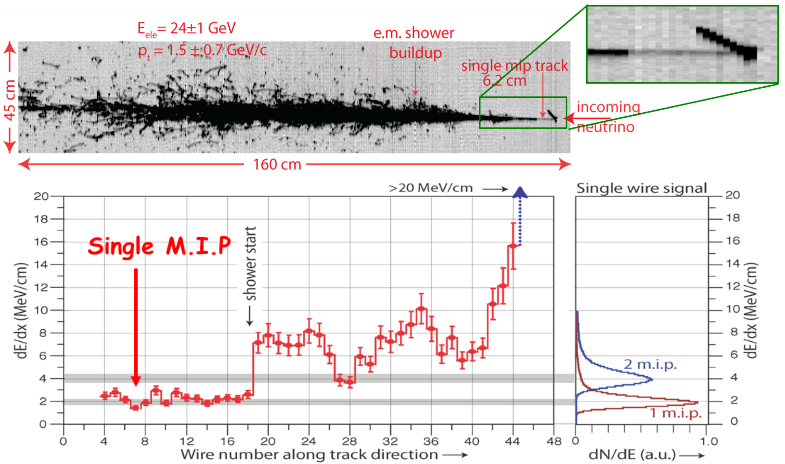 Universe 09 00074 g011 Universe 09 00074 g011