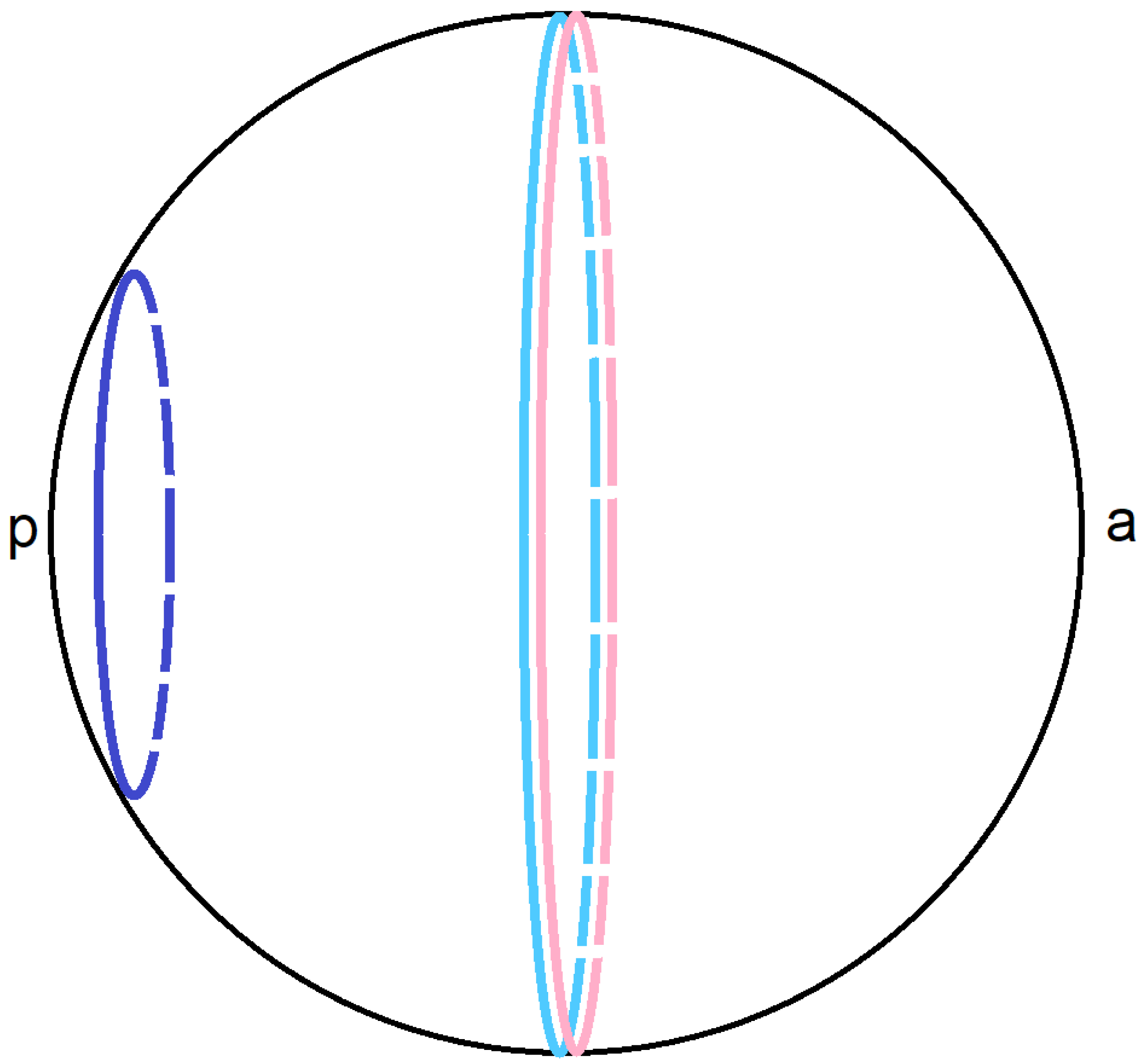 Universe 09 00368 g002