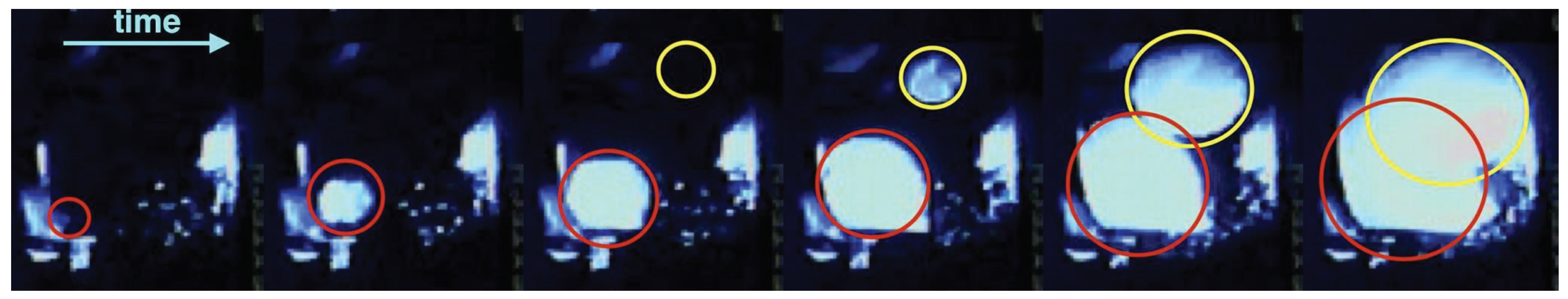 Universe 10 00081 g003