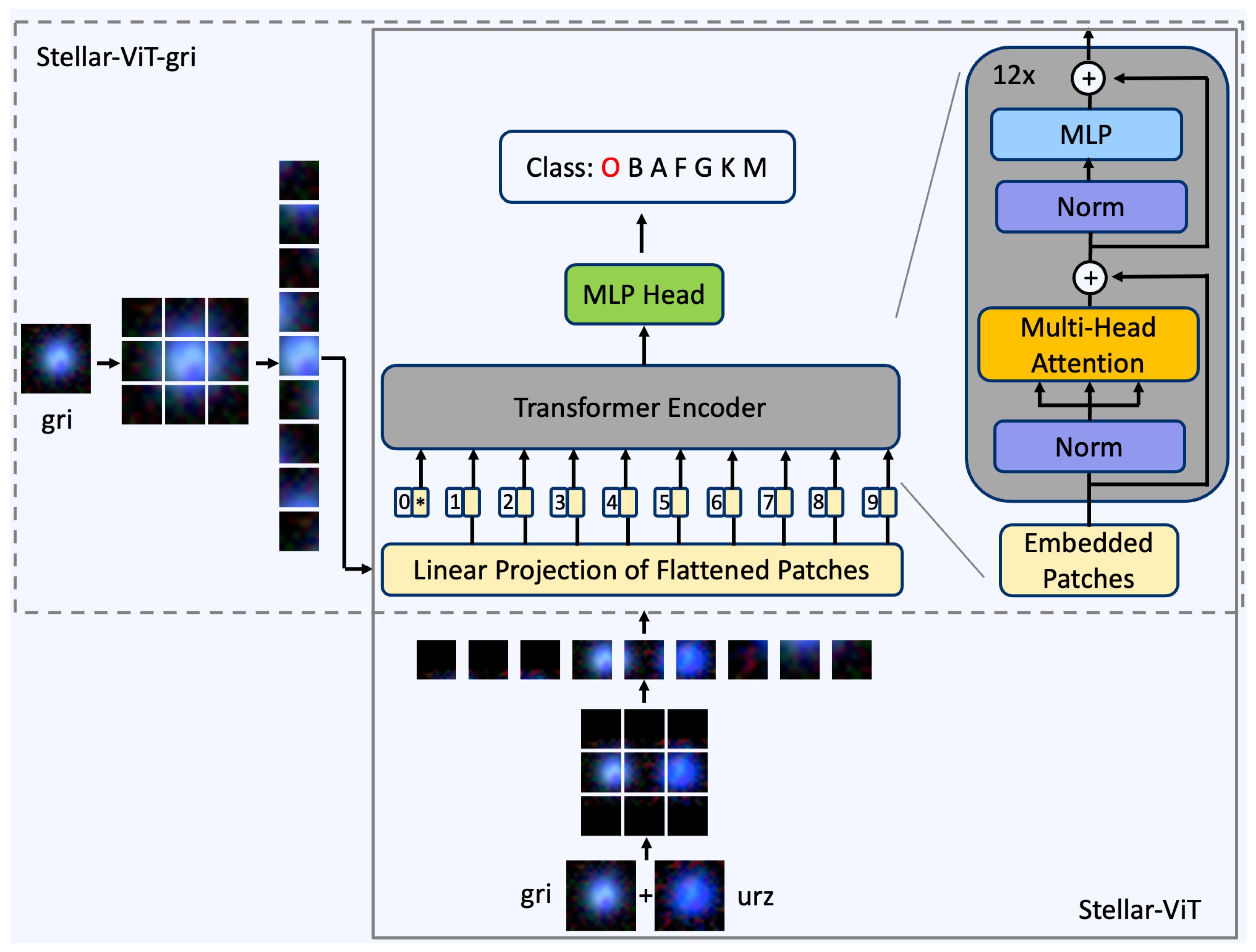 Universe 10 00214 g001