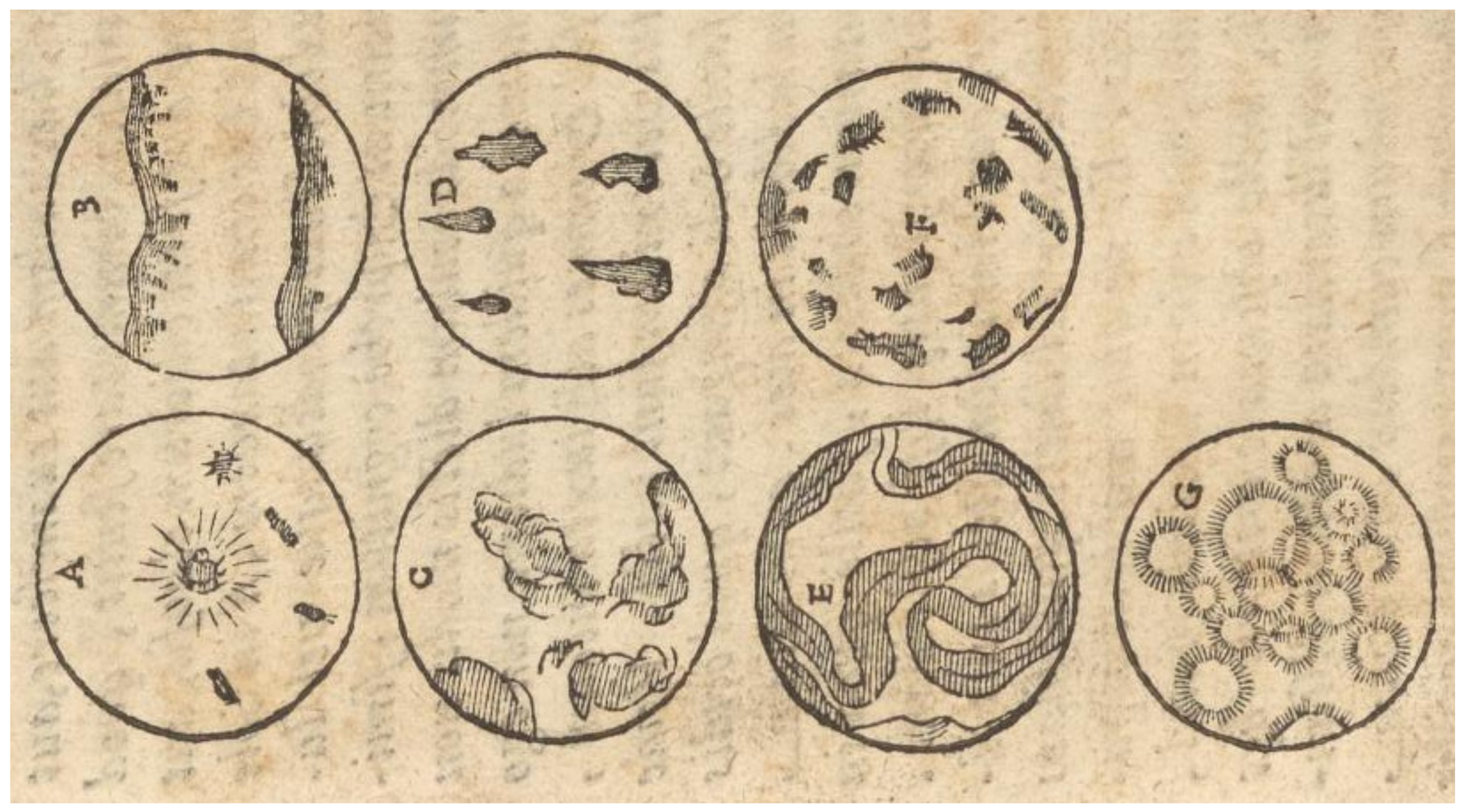 Universe 10 00256 g005