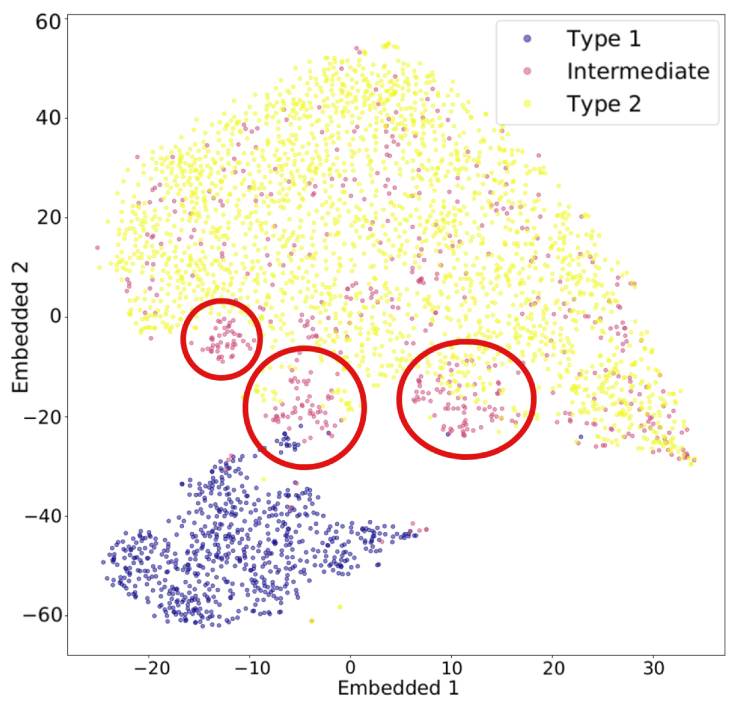 Universe 11 00412 g005