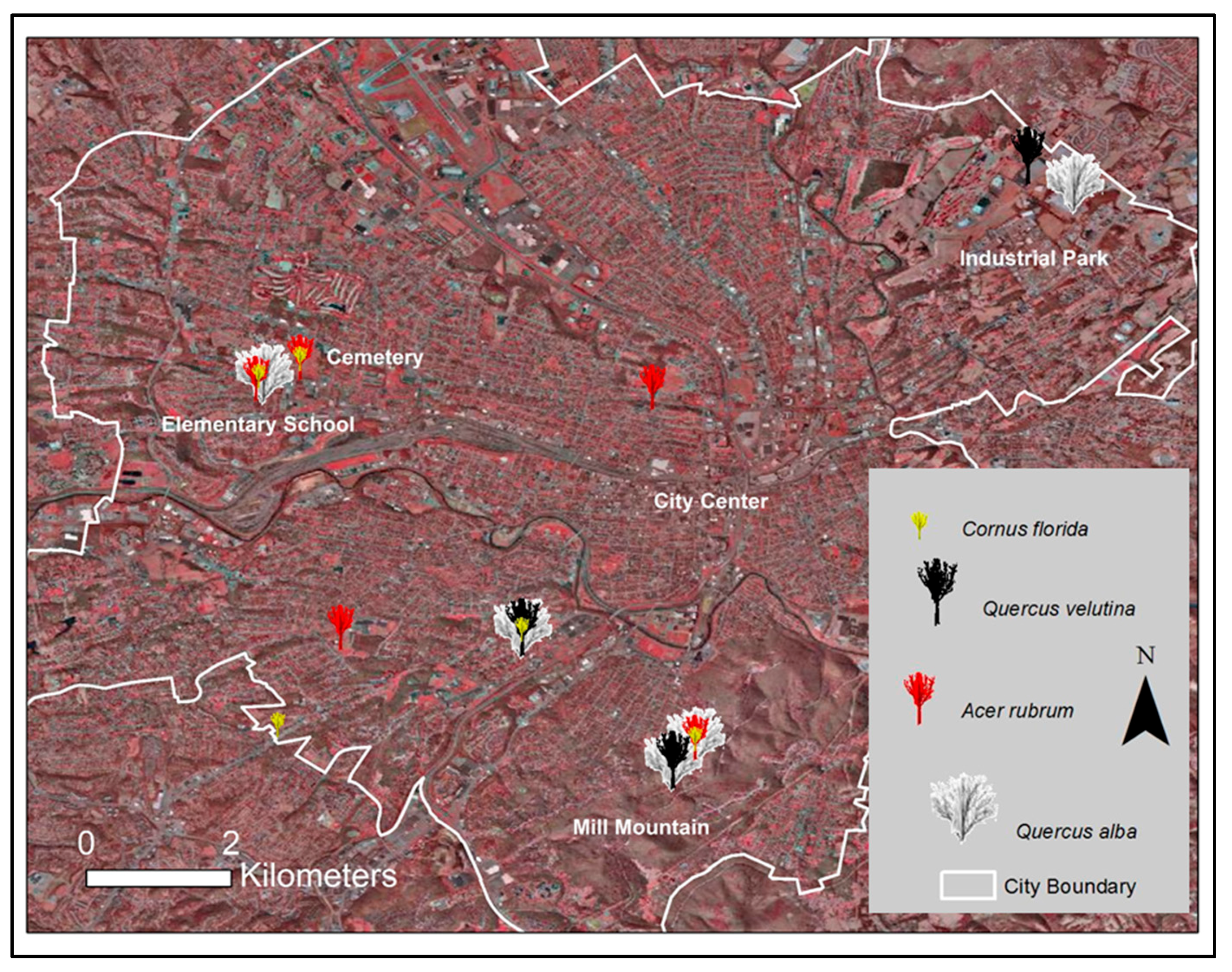 Urbansci 02 00026 g006