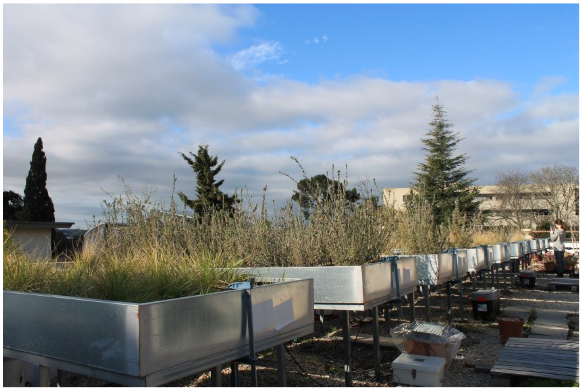 Urbansci 03 00014 g002 Urbansci 03 00014 g002