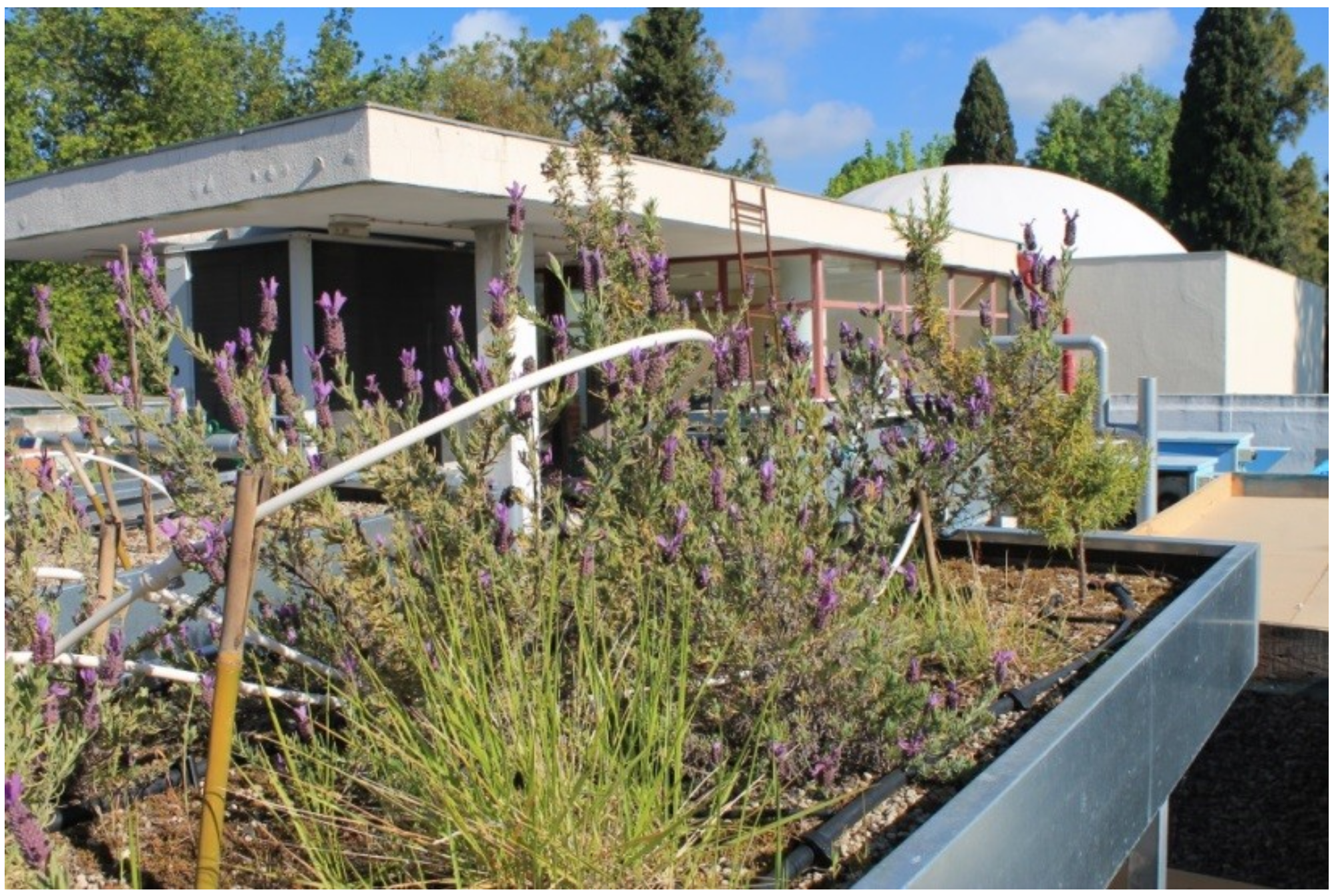 Urbansci 03 00014 g003 Urbansci 03 00014 g003