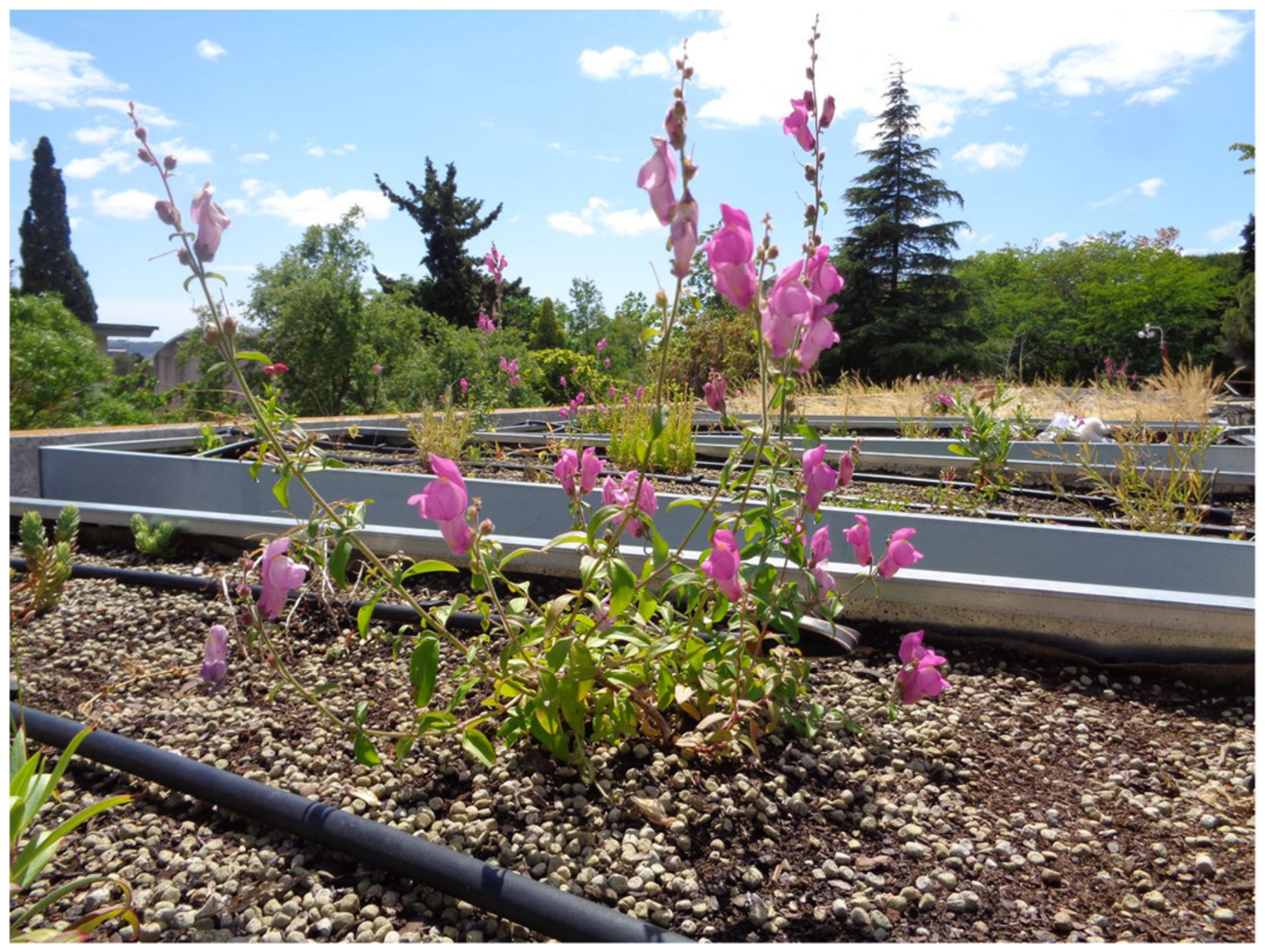 Urbansci 03 00014 g008 Urbansci 03 00014 g008