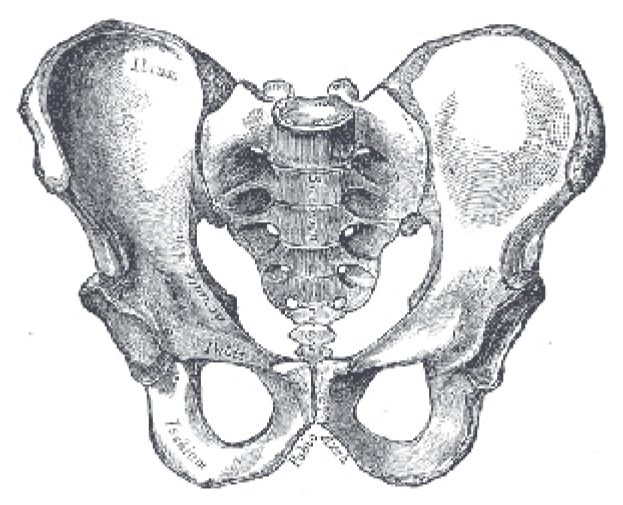 Urbansci 03 00064 g016