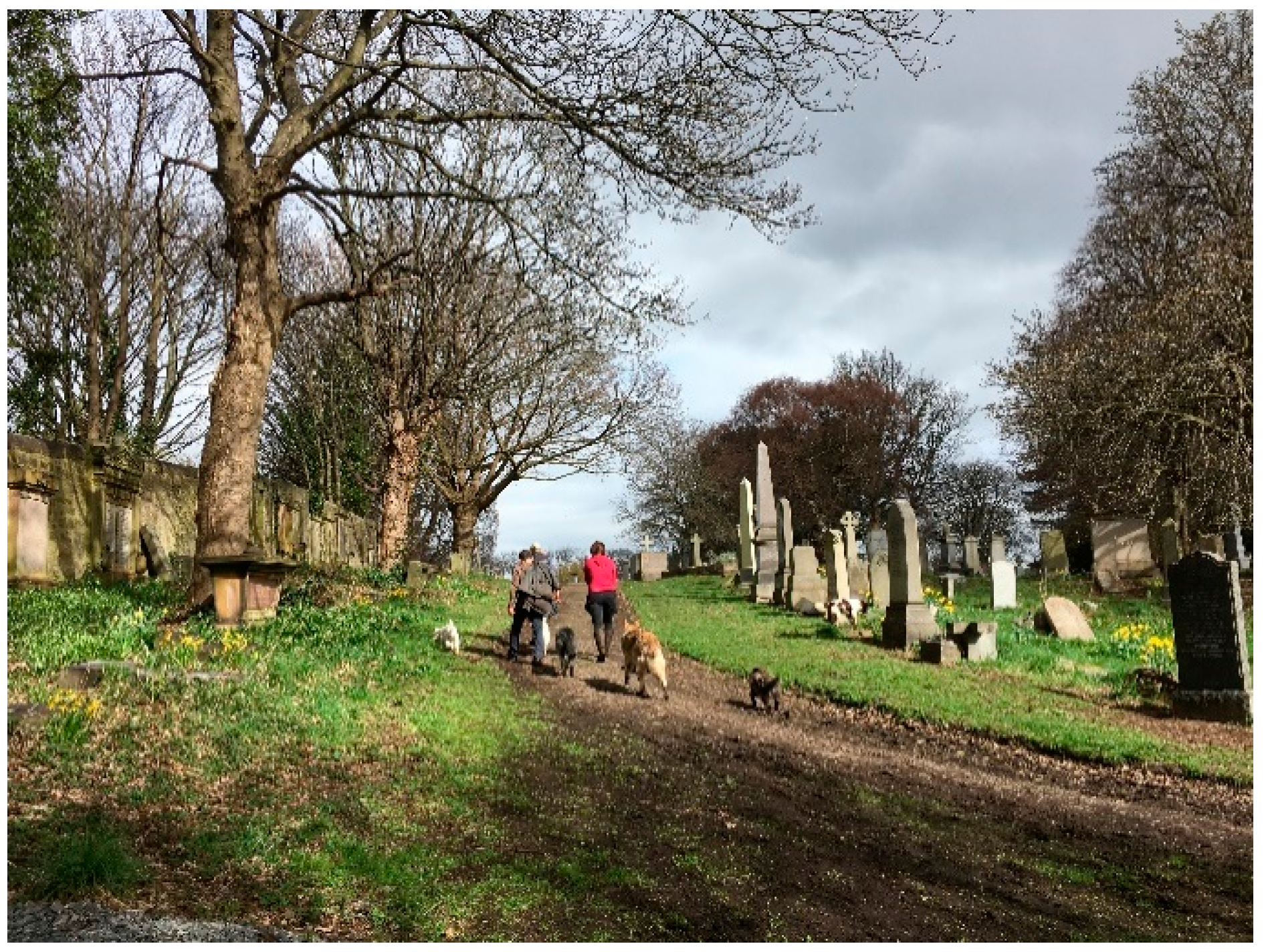 Urbansci 03 00072 g005