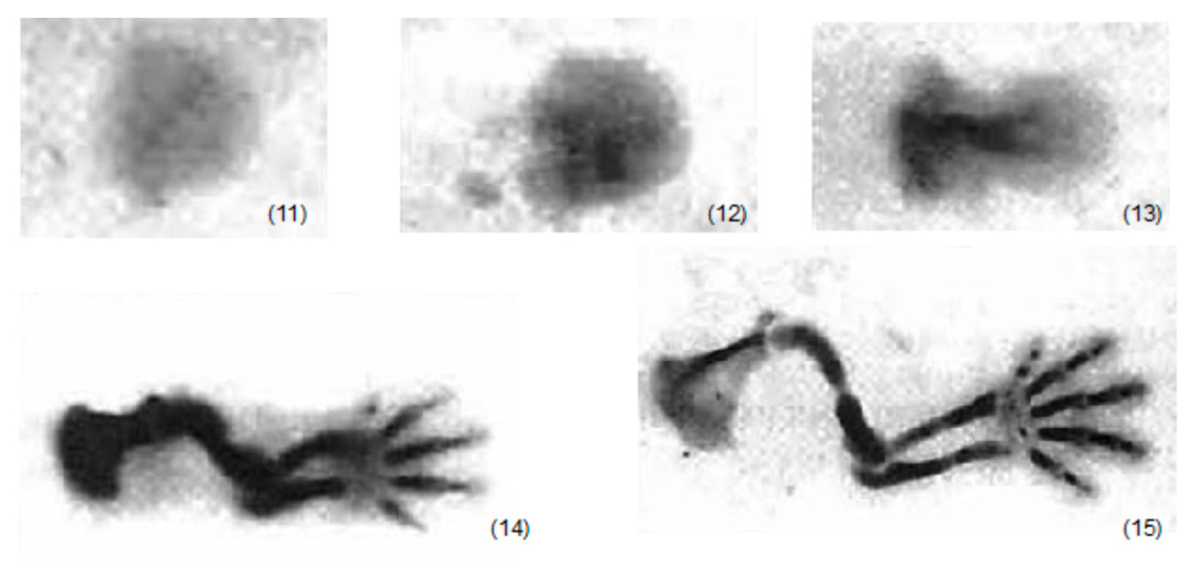 Urbansci 03 00096 g002