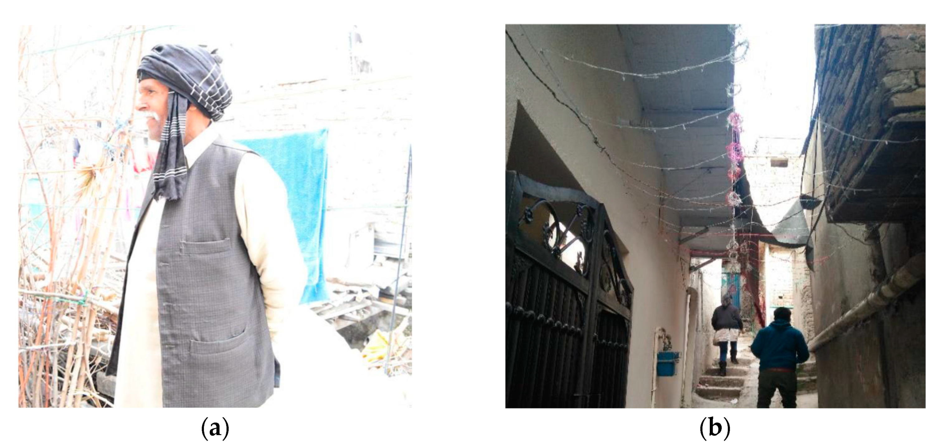 Urbansci 05 00049 g018