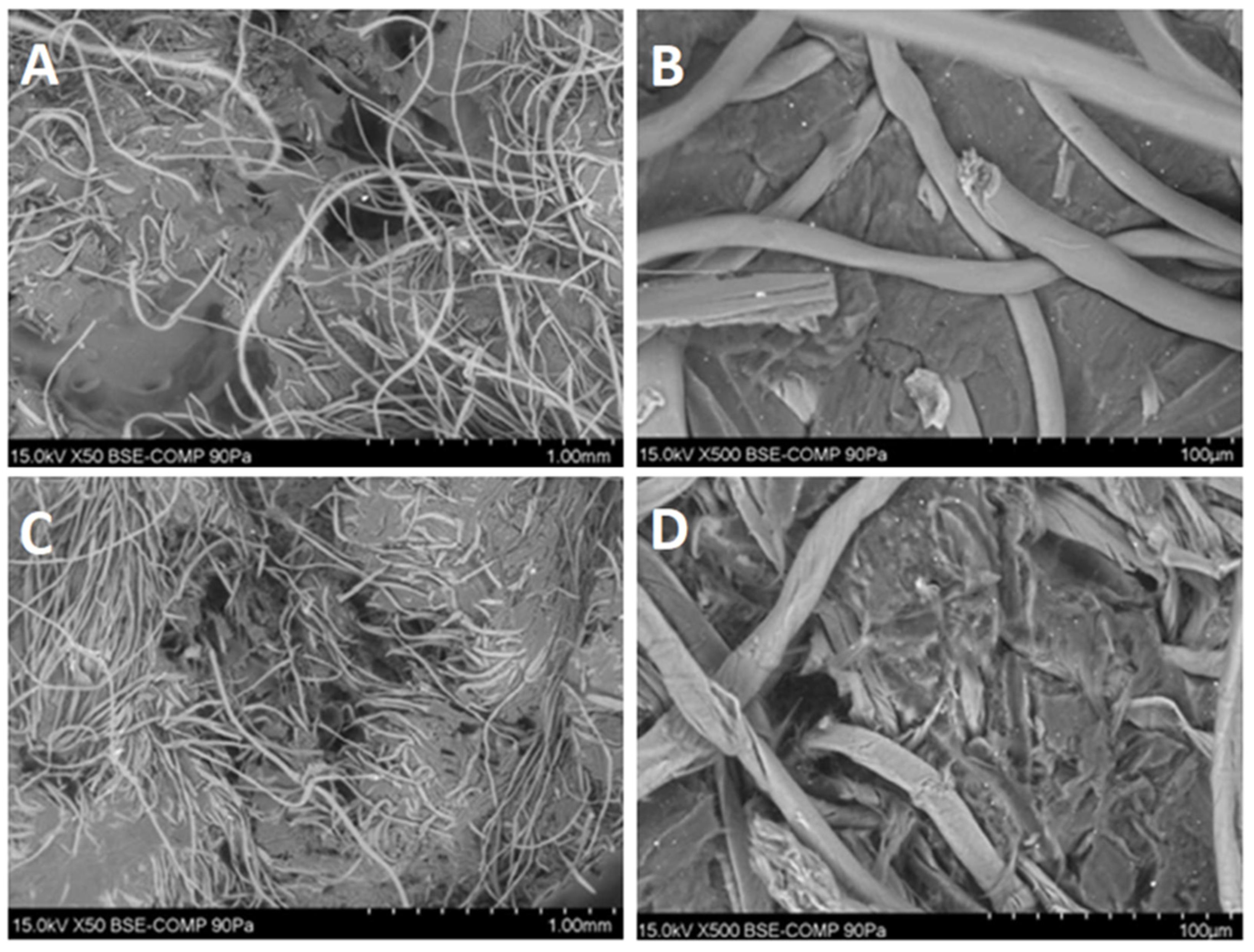 Urbansci 05 00059 g002