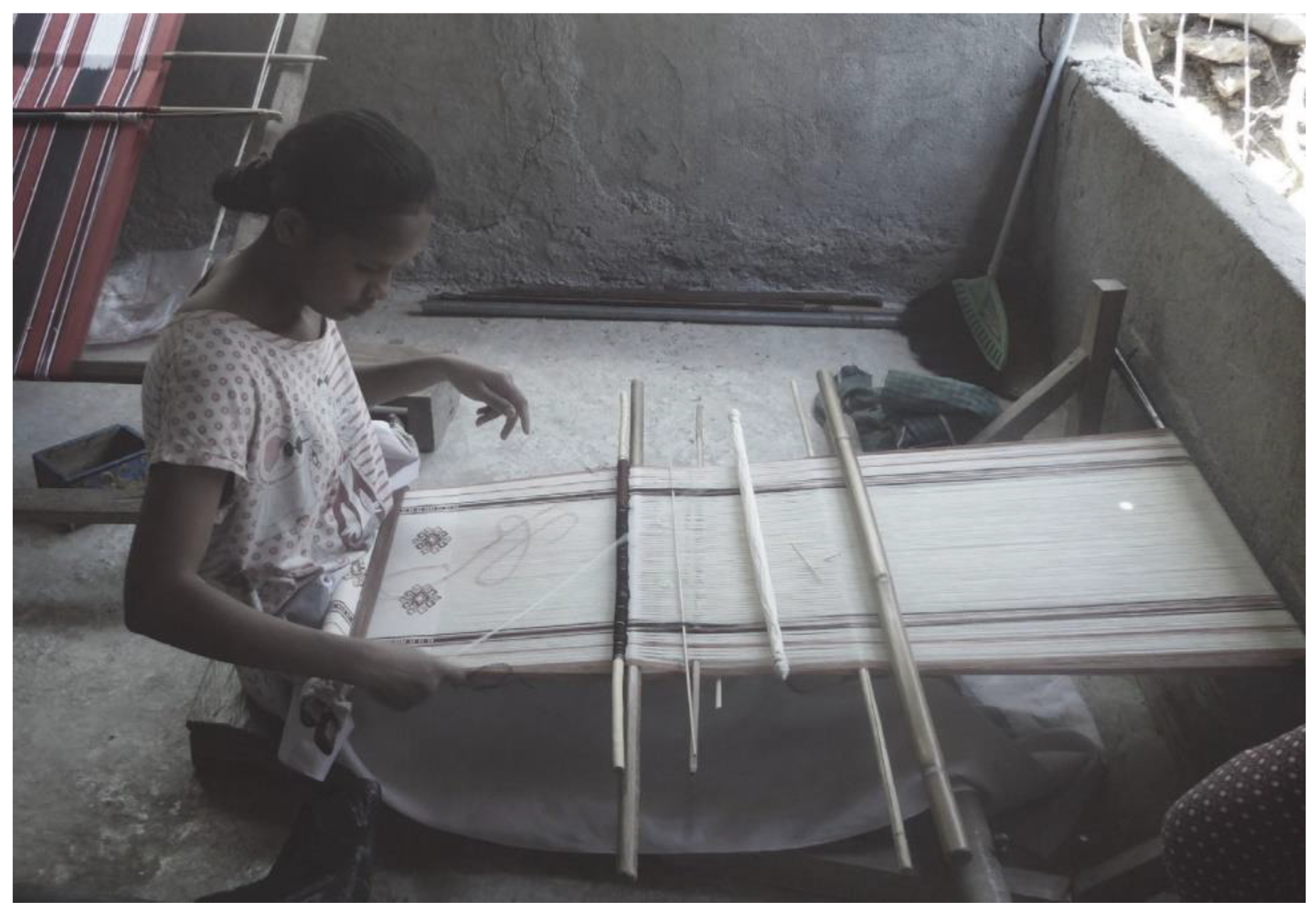 Urbansci 05 00073 g006