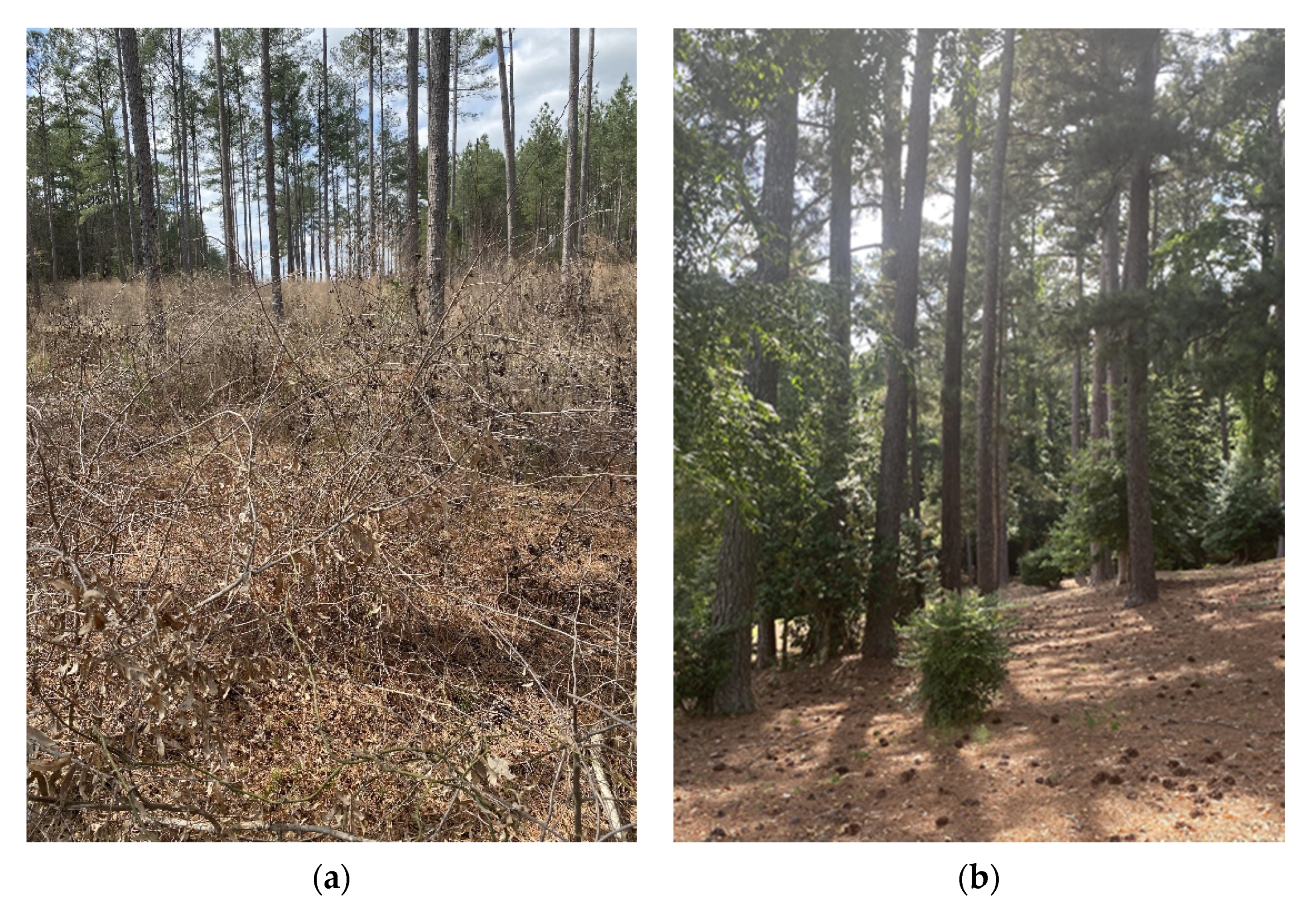 Urbansci 05 00088 g002