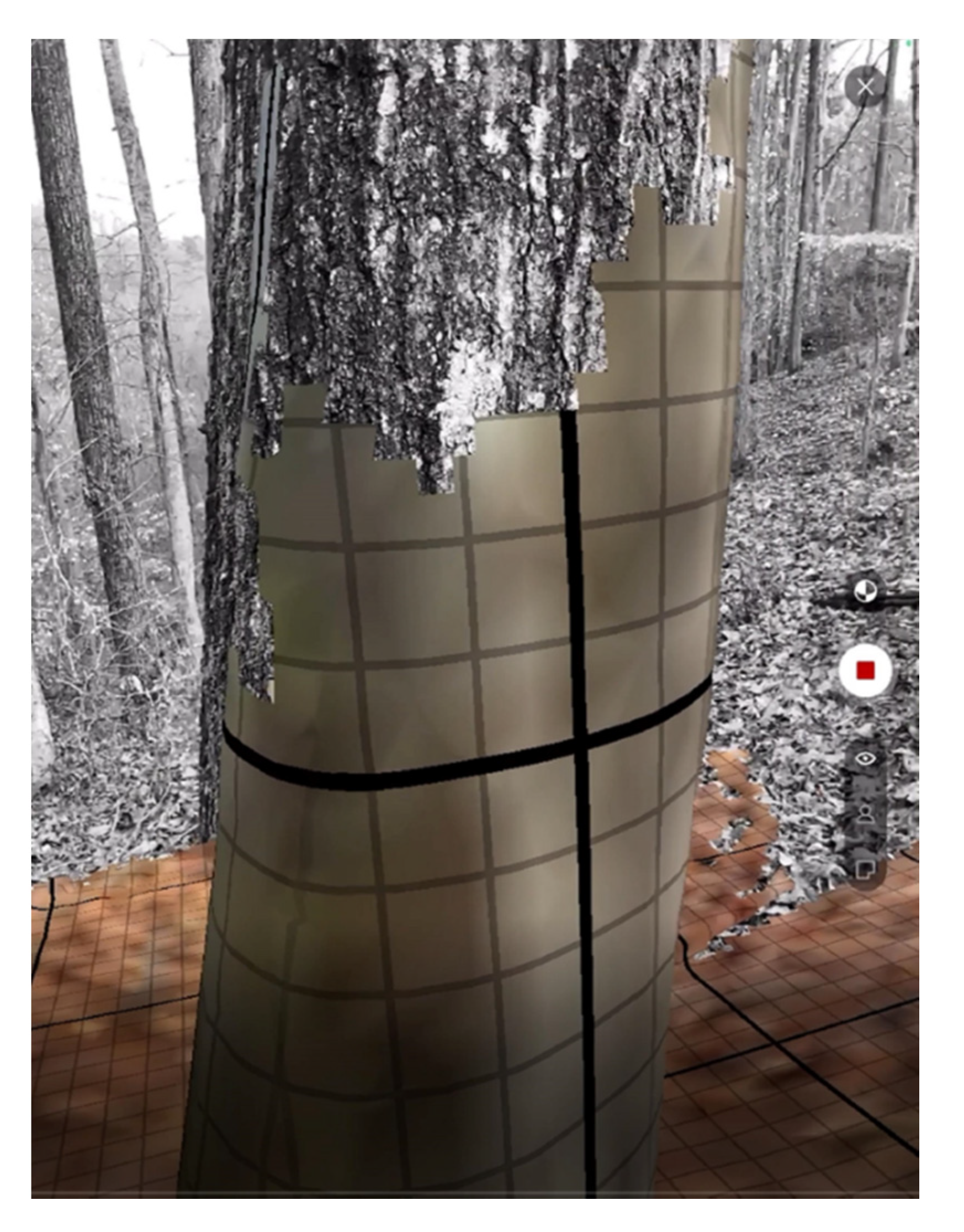 Urbansci 05 00088 g007