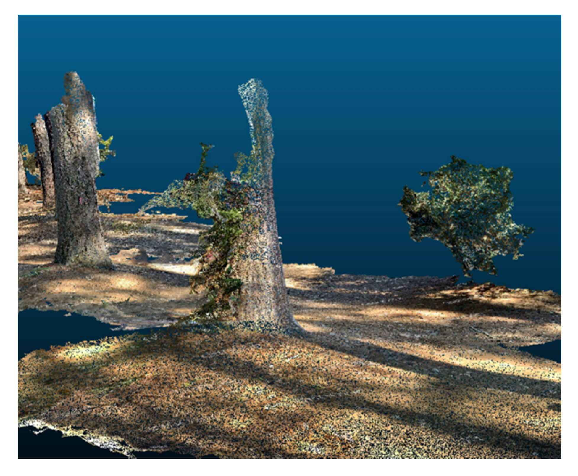 Urbansci 05 00088 g021