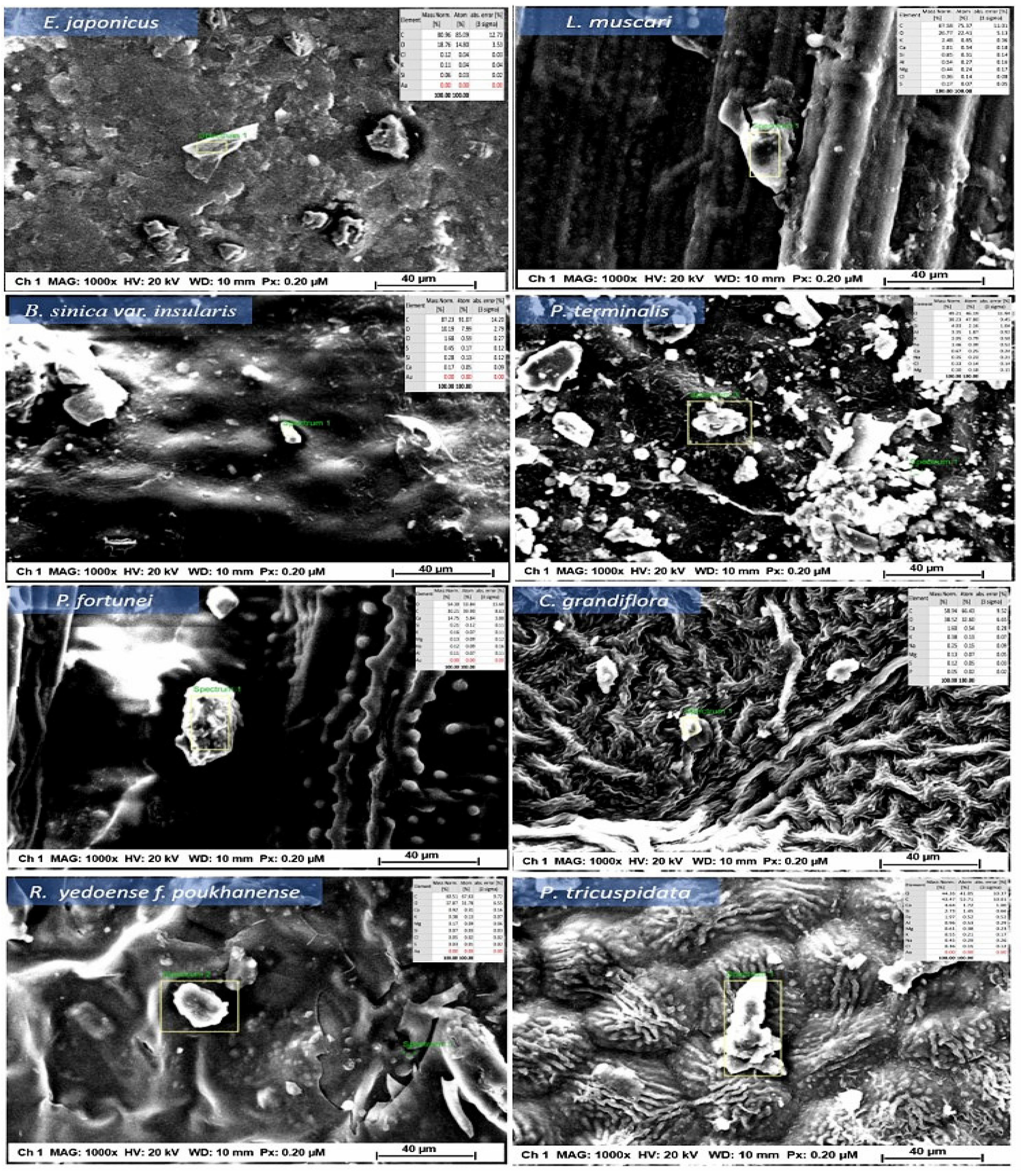 Urbansci 07 00051 g003 Urbansci 07 00051 g003