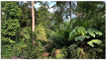 Urbansci 07 00092 i004