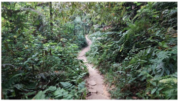 Urbansci 07 00092 i005