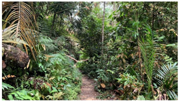 Urbansci 07 00092 i007