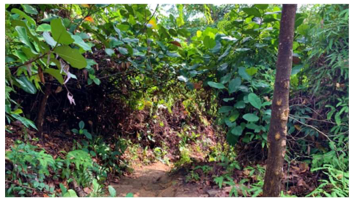 Urbansci 07 00092 i013