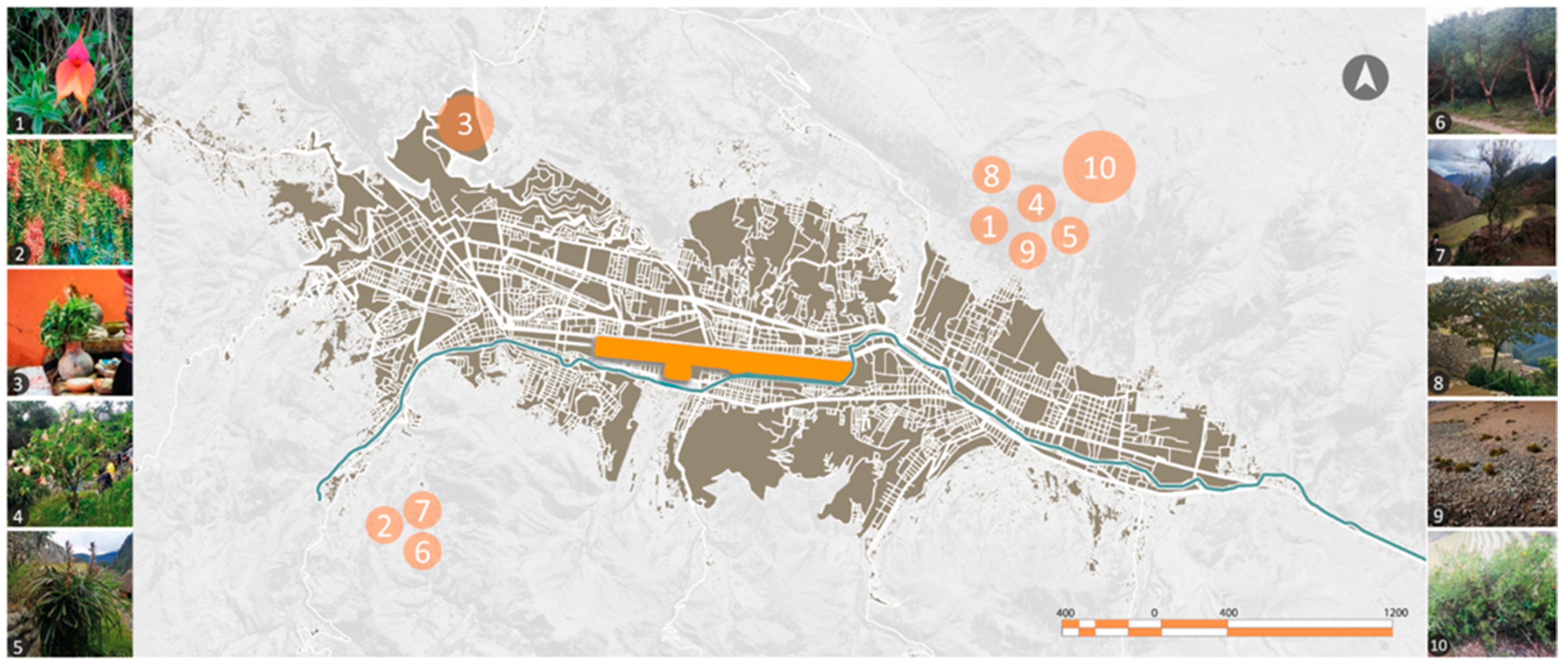 Urbansci 08 00185 g009