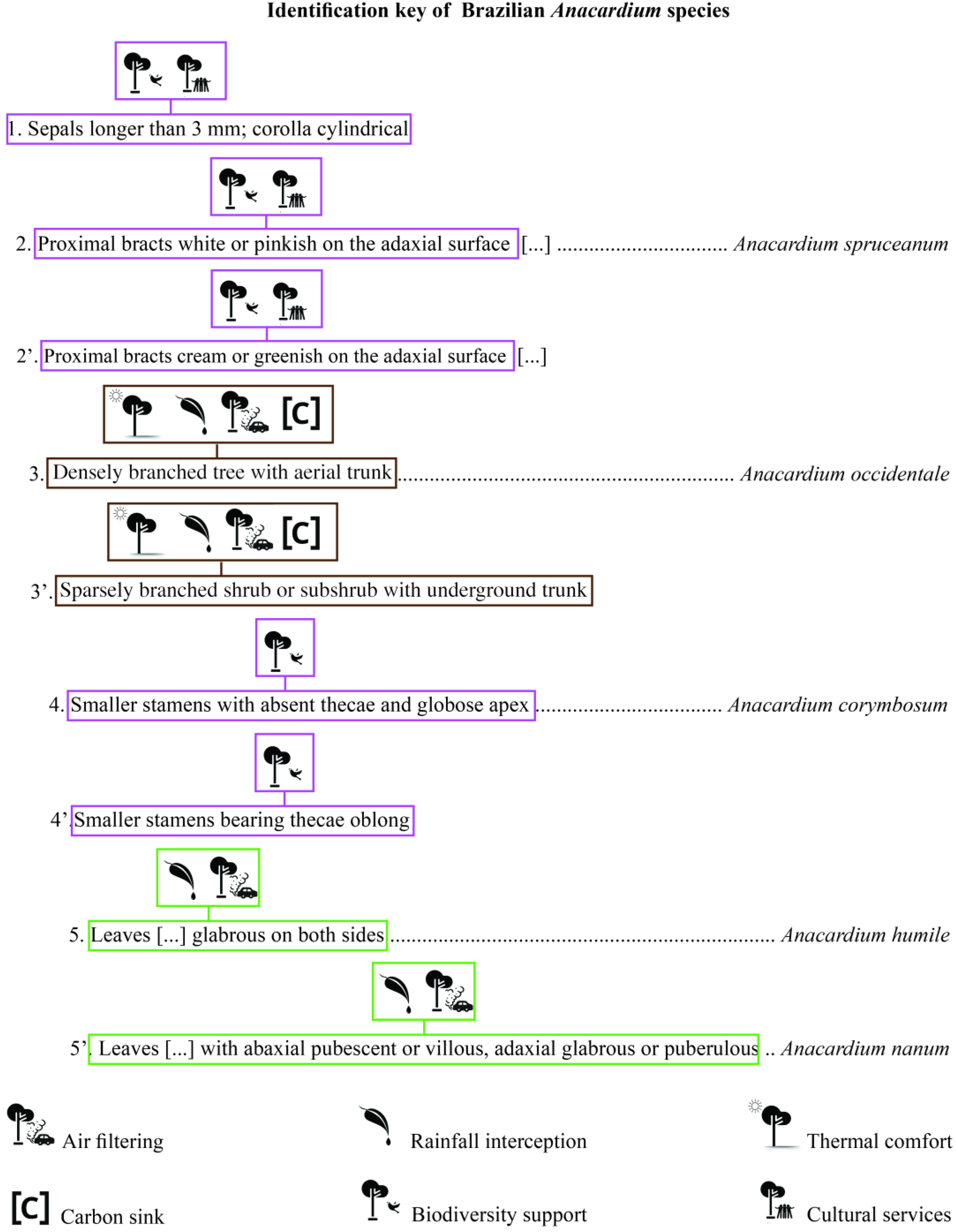 Urbansci 08 00233 g003
