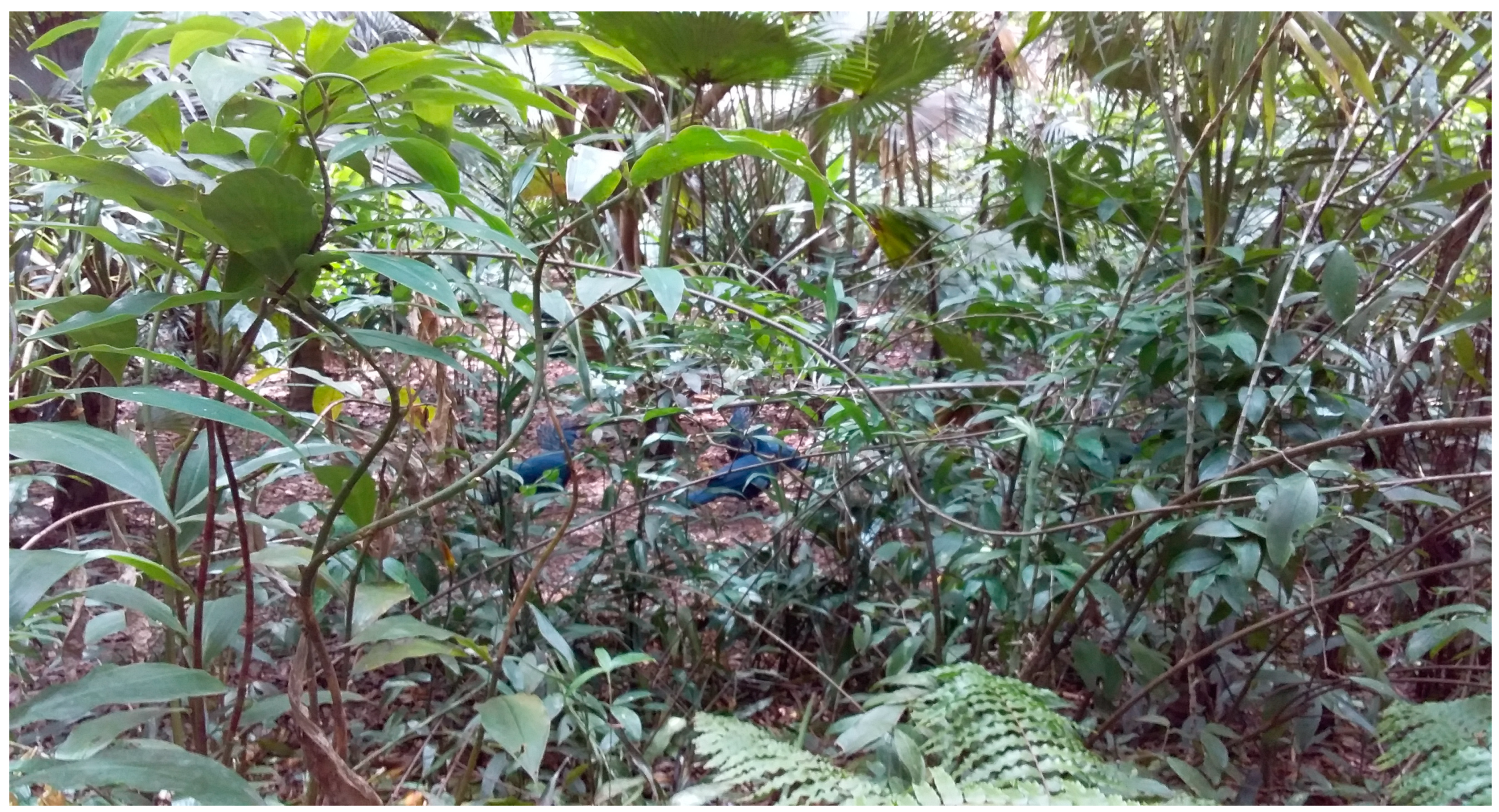 Urbansci 08 00243 g002