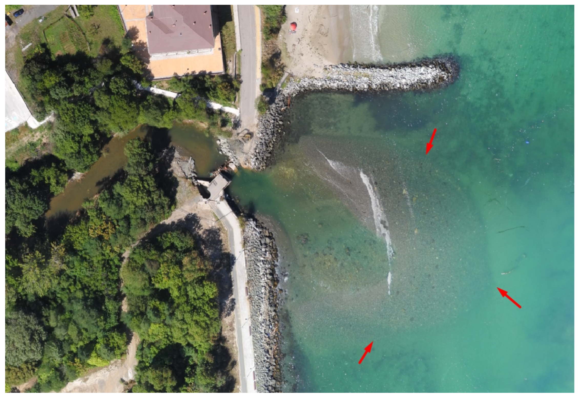 Urbansci 08 00255 g006