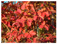 Urbansci 09 00105 i014