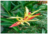 Urbansci 09 00105 i017