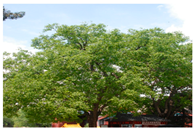 Urbansci 09 00105 i020