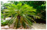 Urbansci 09 00105 i021