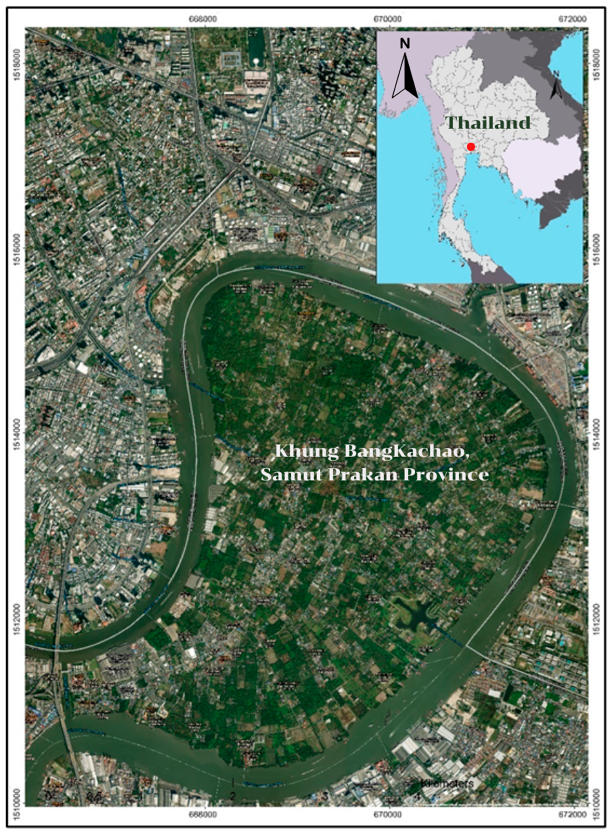 Urbansci 09 00136 g001