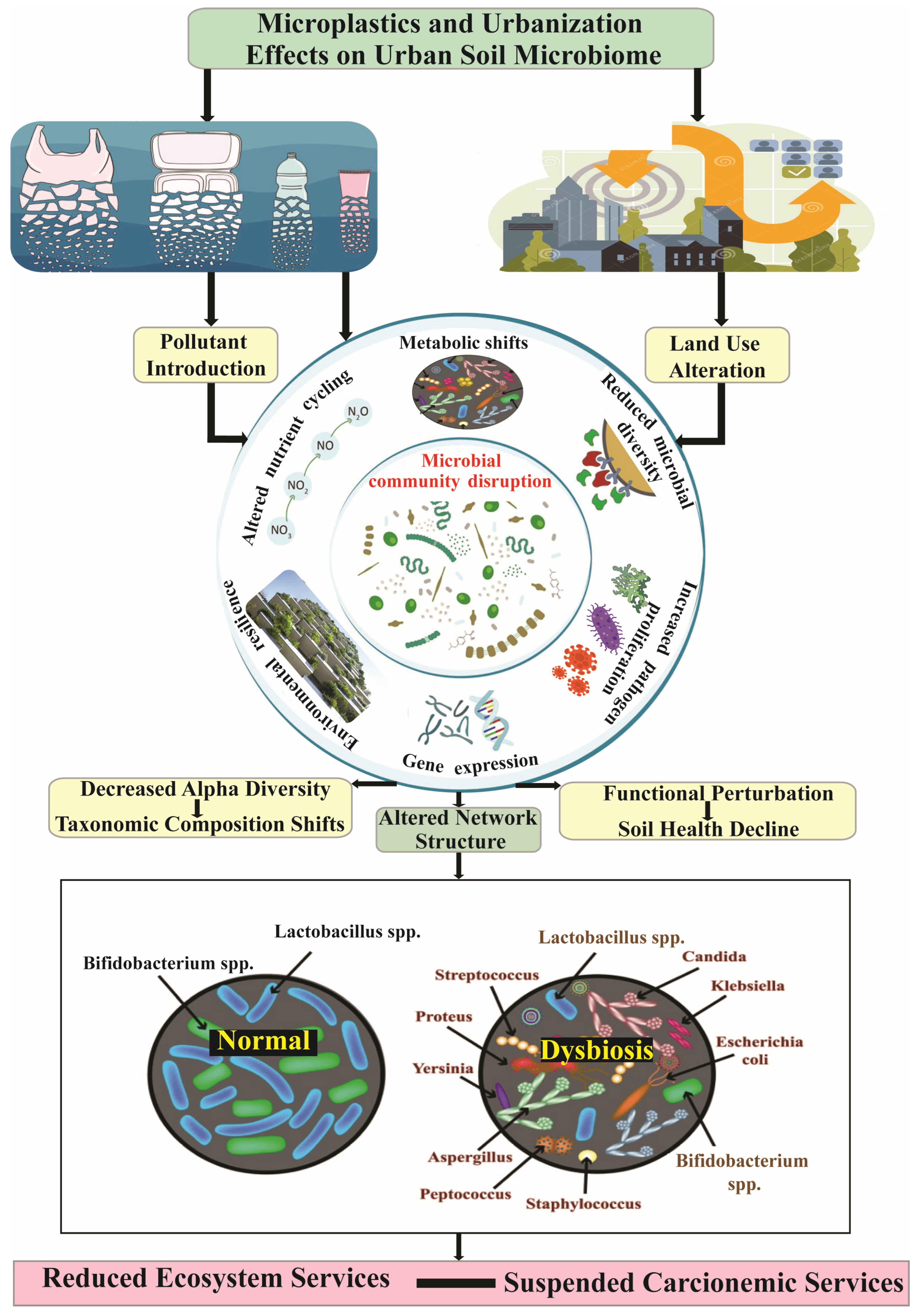 Urbansci 09 00228 g006