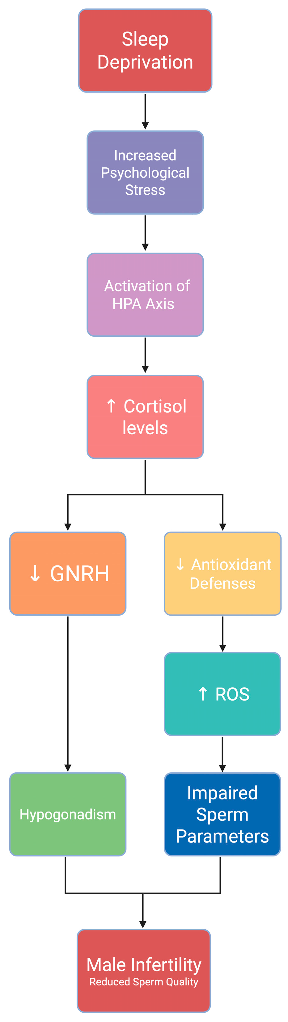 Uro 05 00017 g002 Uro 05 00017 g002