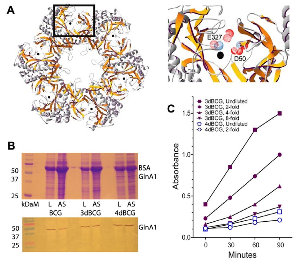 Vaccines 01 00034 g001 1024