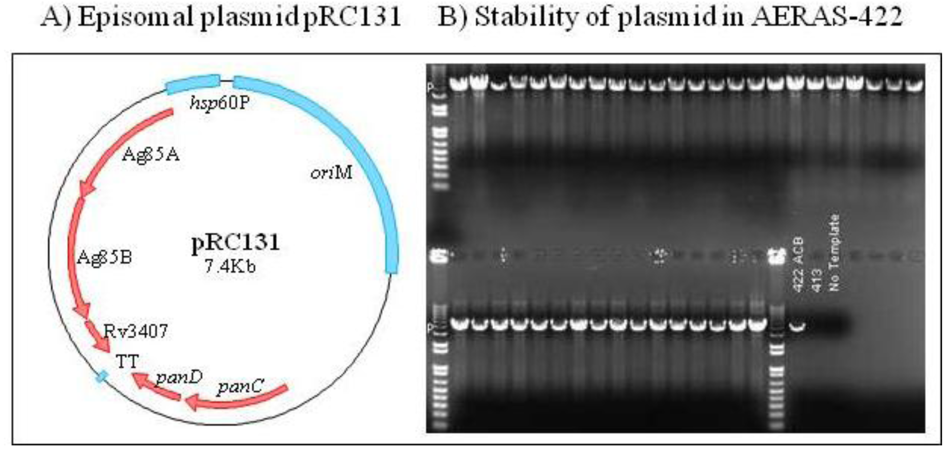 Vaccines 01 00120 g003