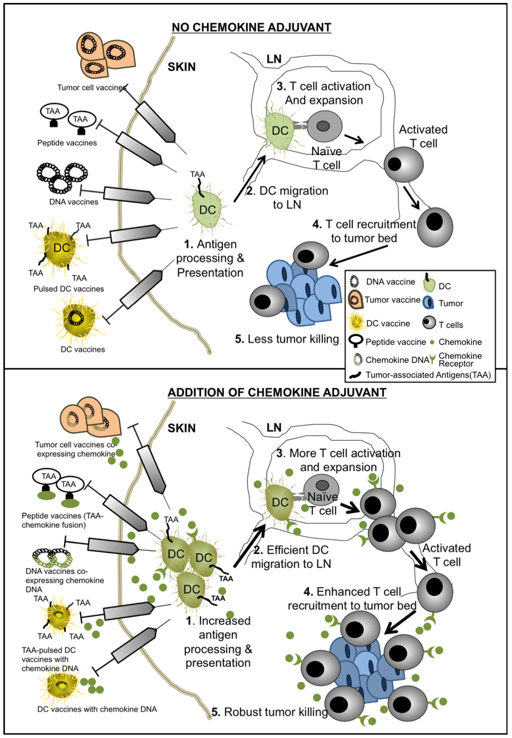 Vaccines 01 00444 g001 1024