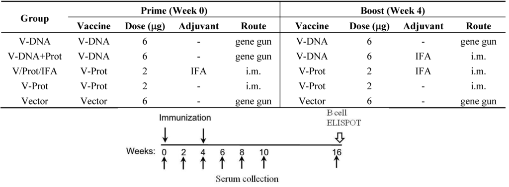 Vaccines 02 00036 g001 1024
