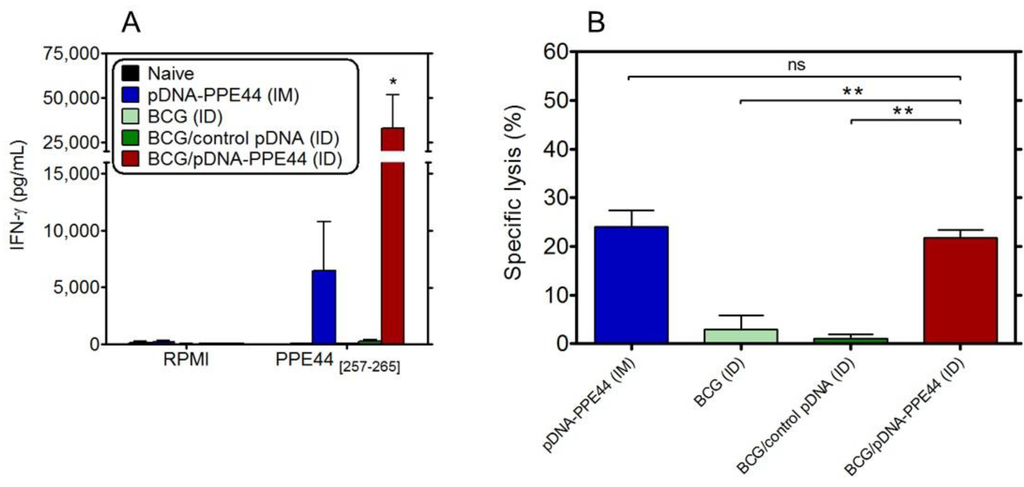 Vaccines 02 00181 g003 1024