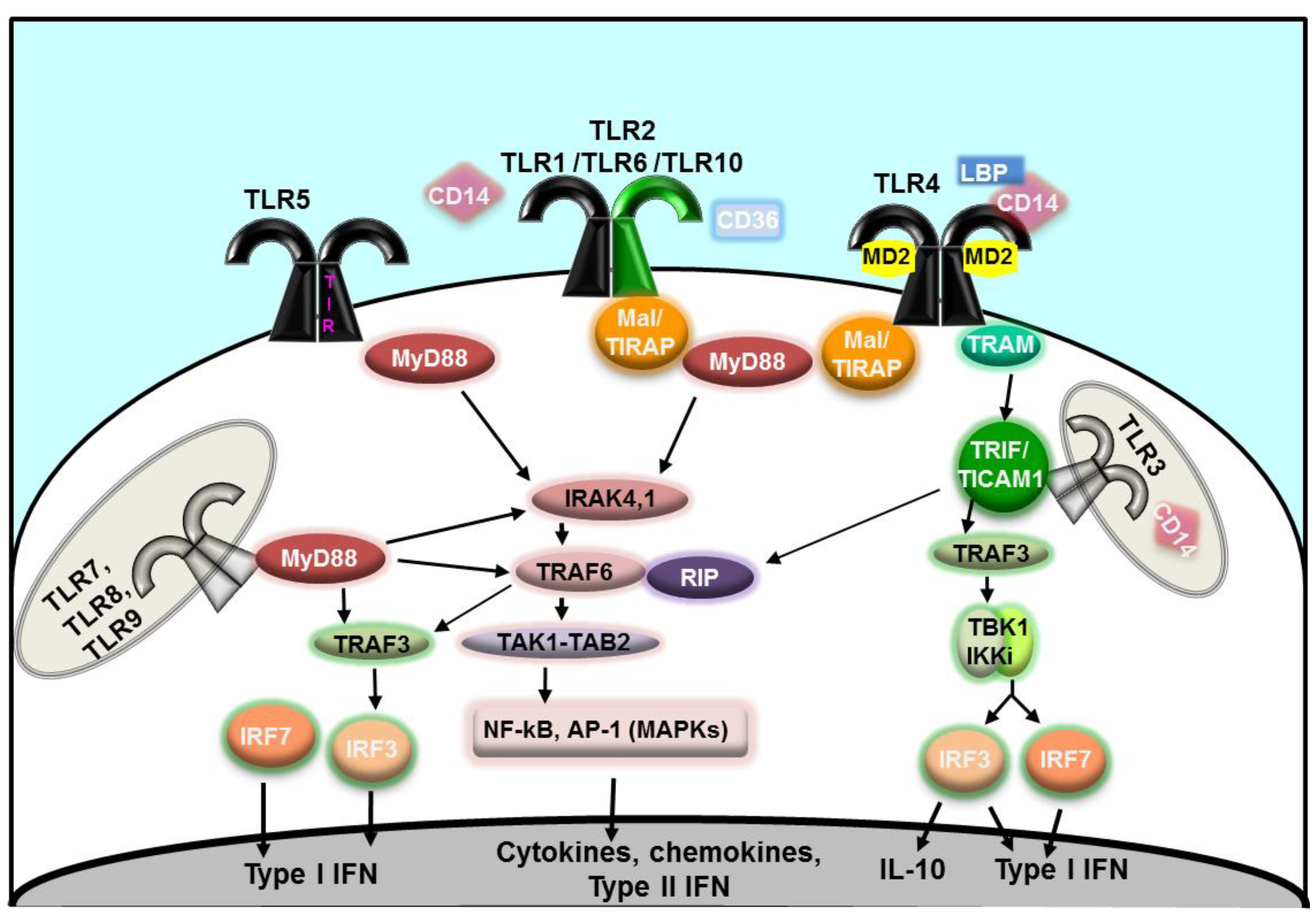 Vaccines 02 00323 g001