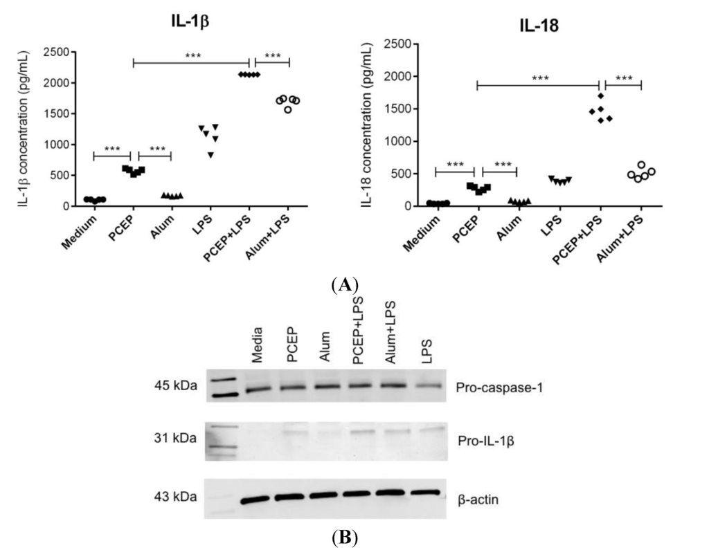 Vaccines 02 00500 g001 1024