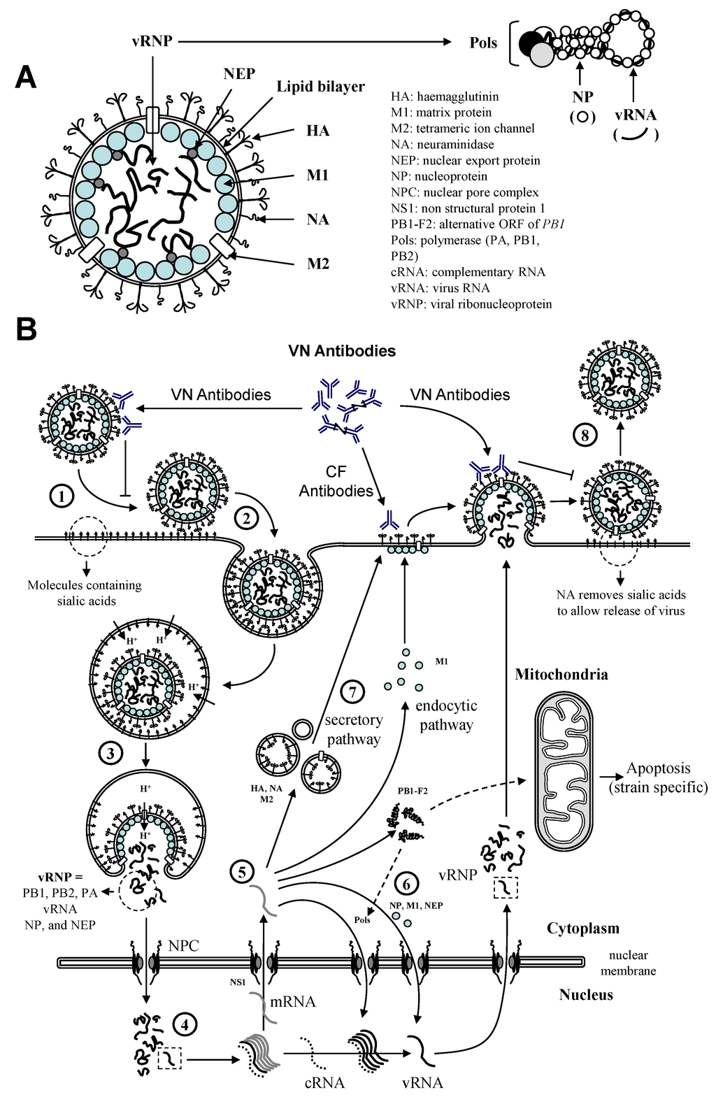 Vaccines 02 00797 g002 1024