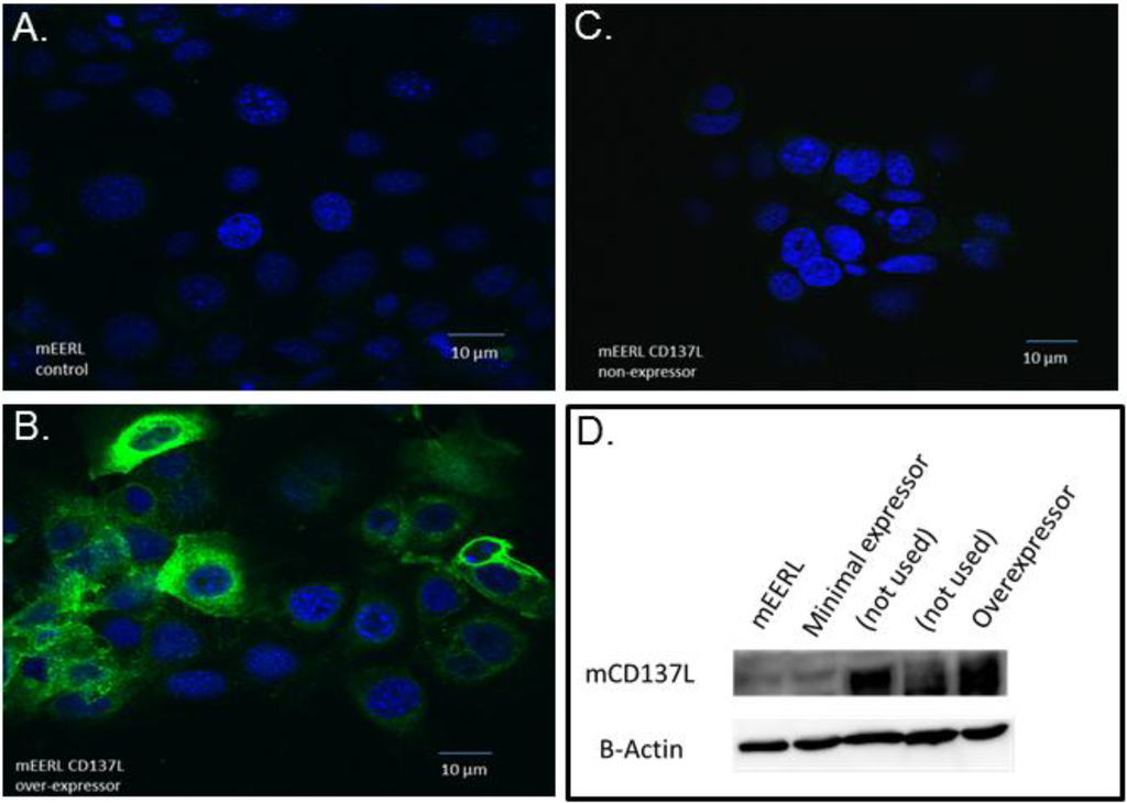 Vaccines 02 00841 g003 1024