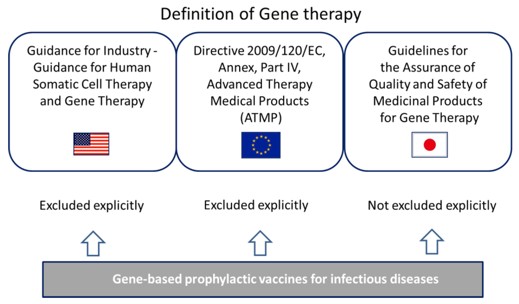 Vaccines 03 00186 g004 1024