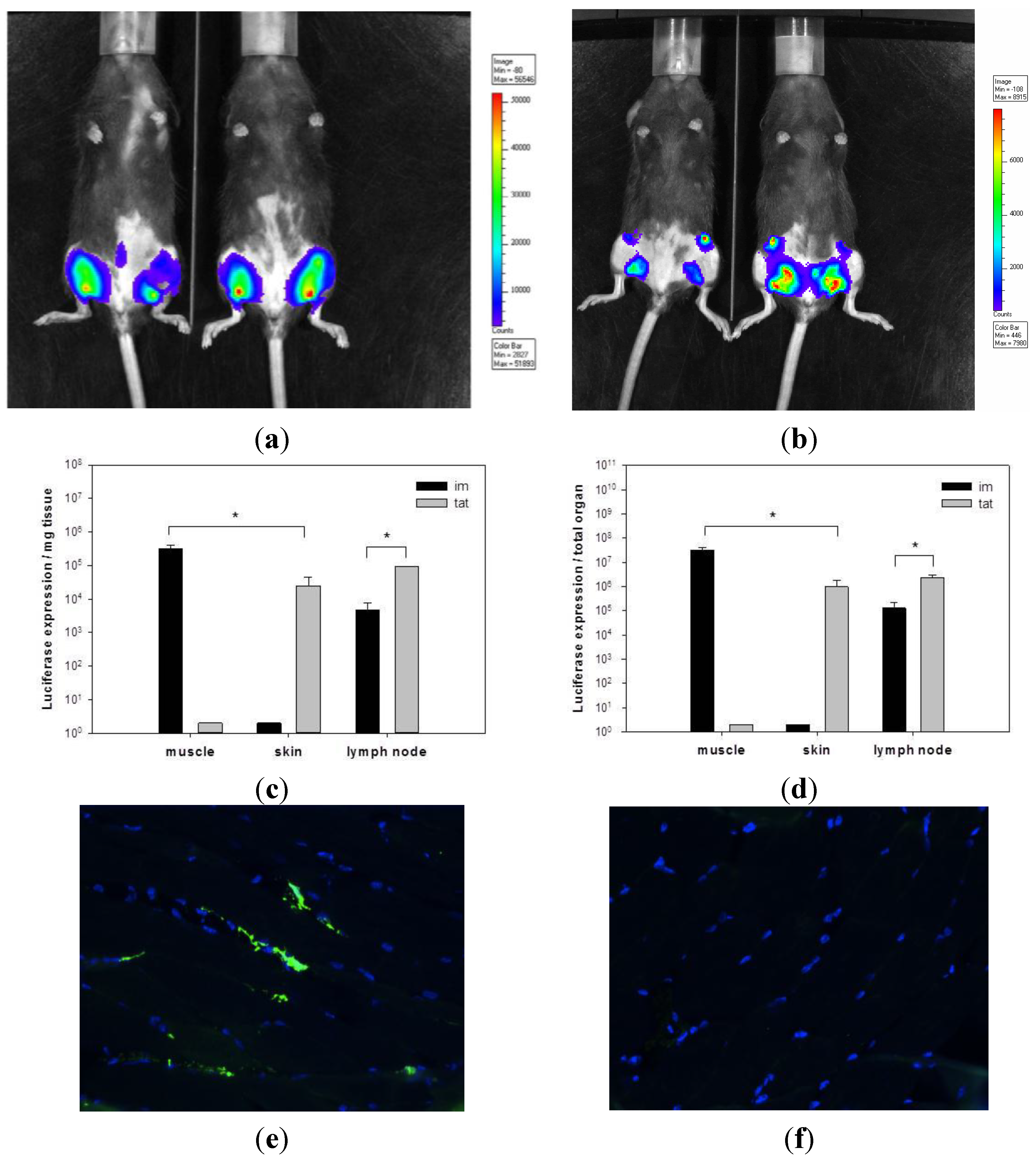Vaccines 03 00221 g001
