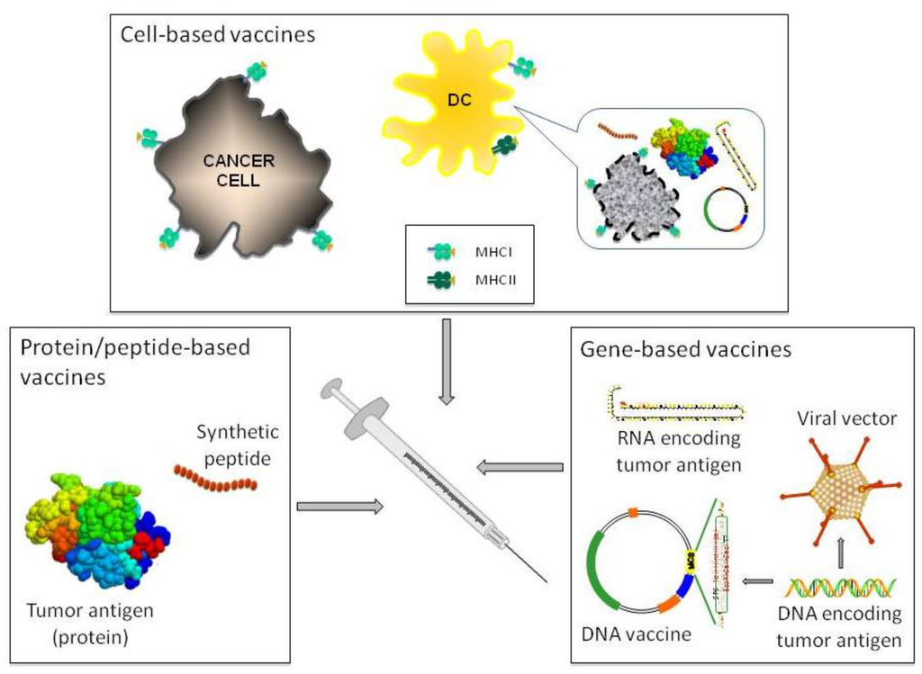 Vaccines 03 00467 g001 1024
