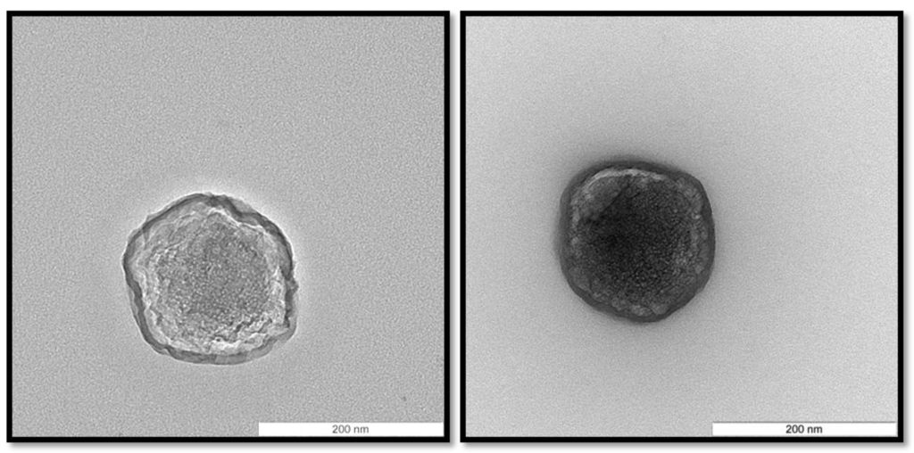 Vaccines 03 00730 g002 1024