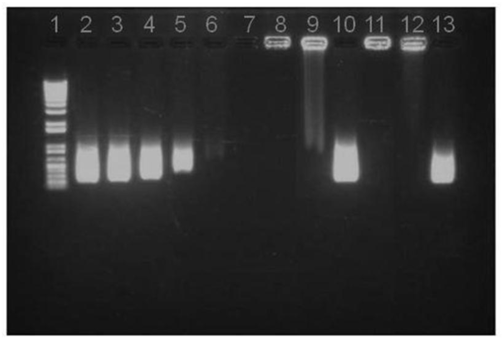 Vaccines 03 00730 g003 1024